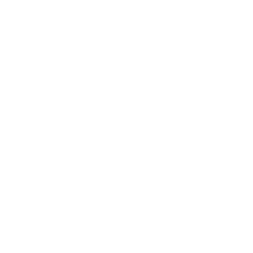 Abwechslungsreiche Projekte